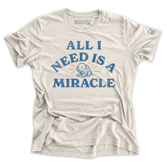 All All Need Is A Miracle