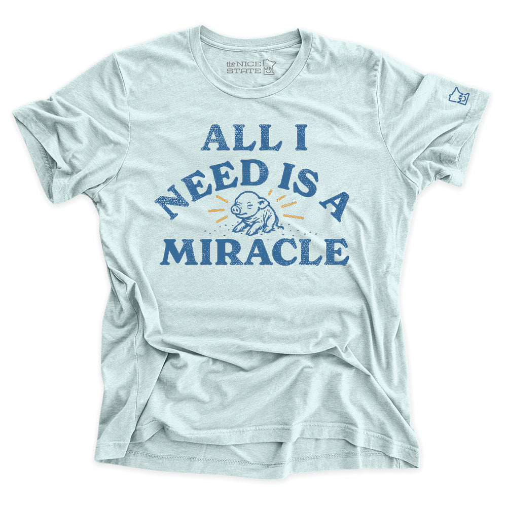All All Need Is A Miracle