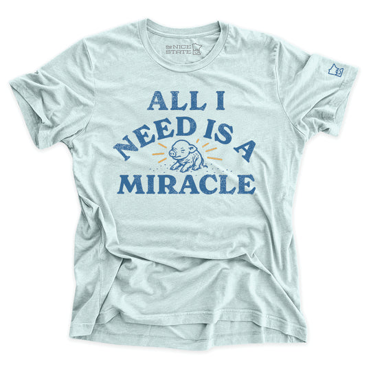 All All Need Is A Miracle
