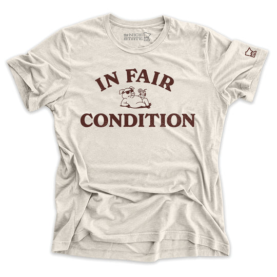In Fair Condition