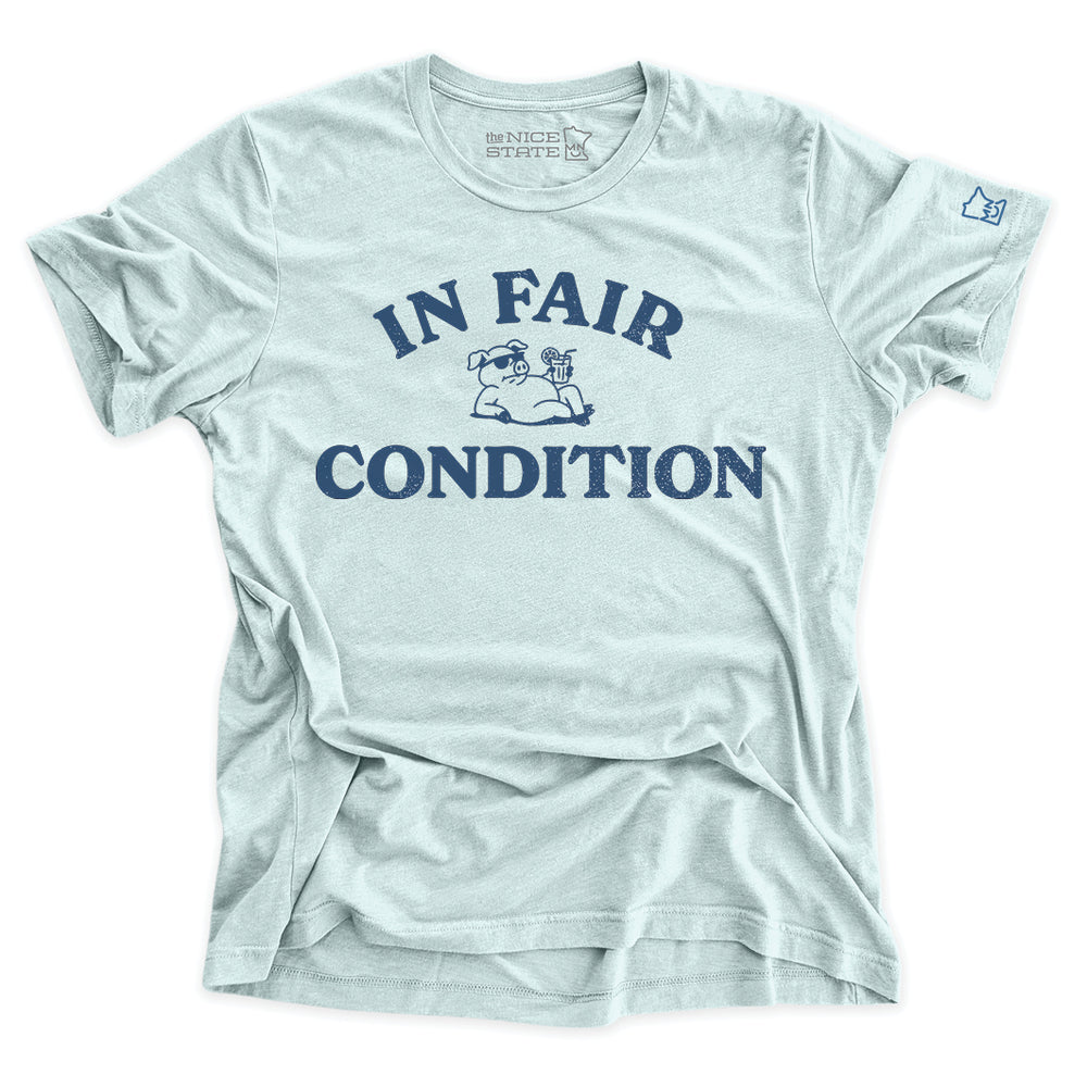In Fair Condition