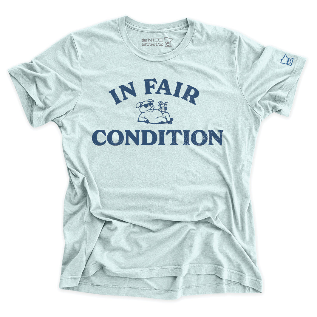 In Fair Condition