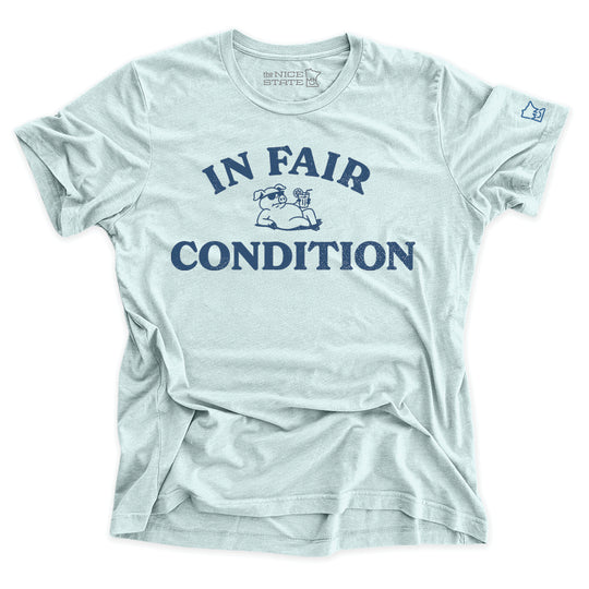 In Fair Condition