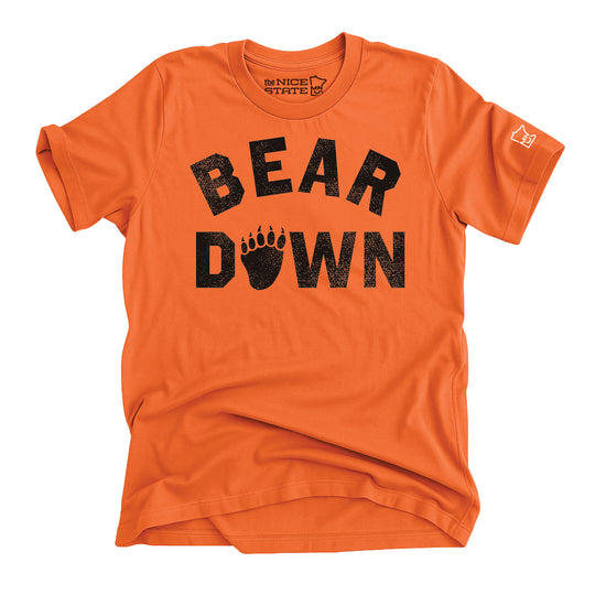 White Bear Lake - Bear Down